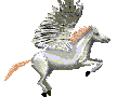 flying horse 2